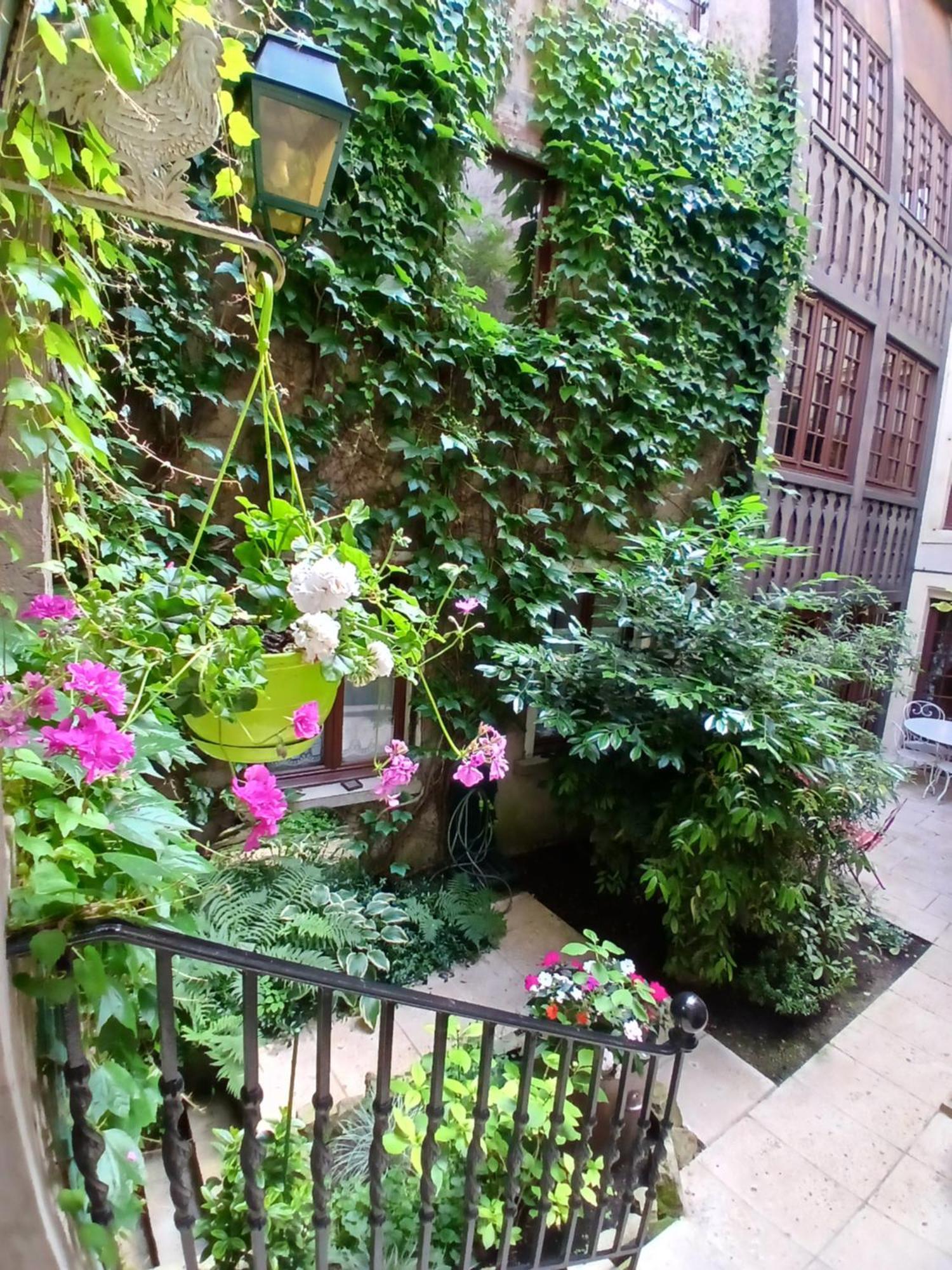 Chambres D'Hotes Le Patio D'Alain Et Veronique Lunéville エクステリア 写真